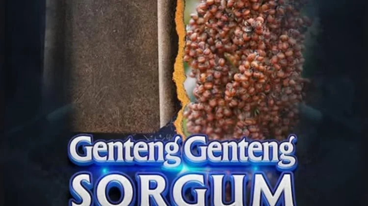 BRIN Ciptakan Genteng Komposit dari Limbah Sorgum
