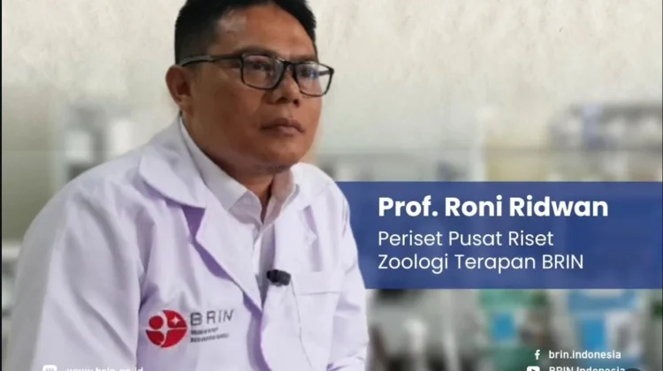 BRIN Kembangkan Premix Combo, Tekan Kehilangan Energi Pakan hingga 12 Persen