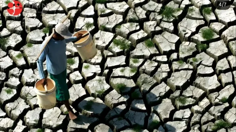 Godzilla El Niño Ancam Lumbung Padi Pantura Jawa, Kemarau Kering April-Oktober 2026