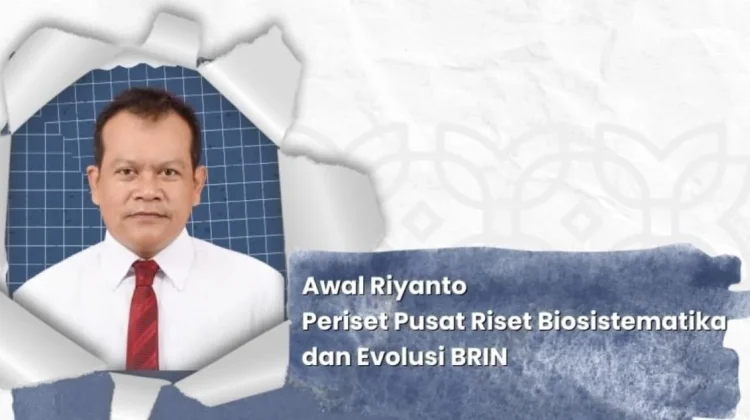 Kadal Buta Endemik Buton Dinamai Dibamus oetamai, Hormati Tokoh Pers Indonesia