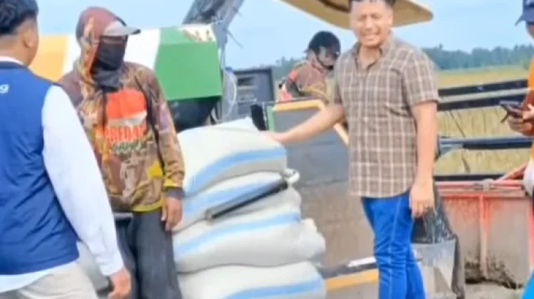 Pasca Lebaran, Bulog Lampung Utara Serap Gabah Petani