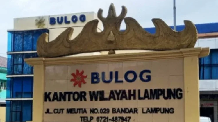 Bulog Lampung Target Serap 120 Ribu Ton Jagung