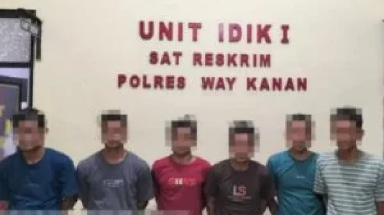 Polres Way Kanan Tangkap Enam Pelaku Pembalakan Liar
