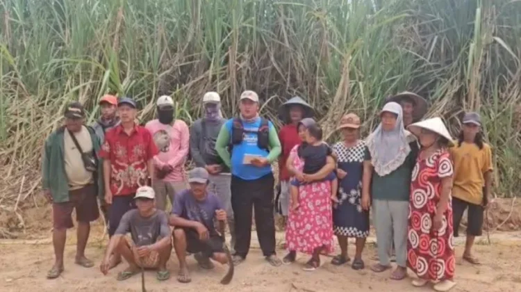 Rekening PSMI Dibuka, Buruh Tani Kembali Bekerja