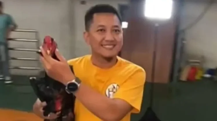 Hobi Ayam Shamo Jadi Rezeki Menjanjikan di Metro