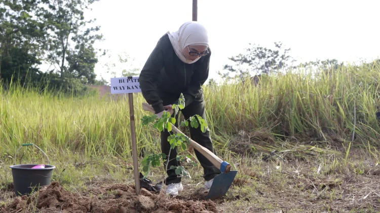 Pemkab Way Kanan Tanam Pohon Serentak