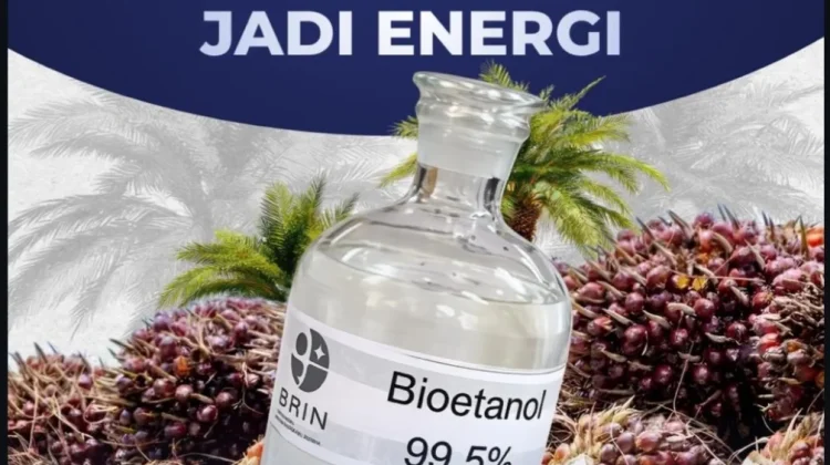 Limbah Sawit Indonesia Berpotensi Hasilkan 1,6 Juta Ton Bioetanol per Tahun