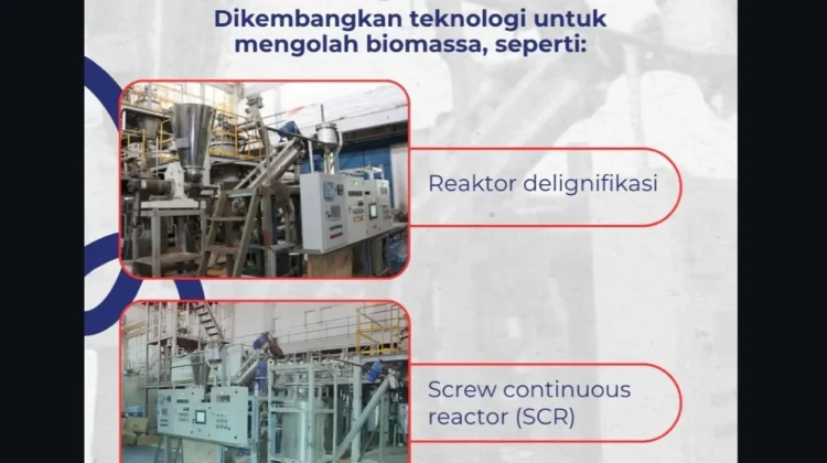 BRIN Ubah Tandan Kosong Sawit Jadi Bioetanol, Wujud Ekonomi Sirkular