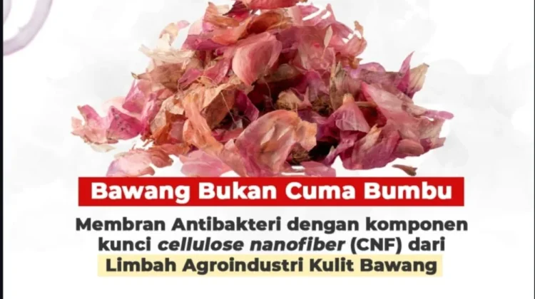 BRIN Ubah Limbah Kulit Bawang Jadi Produk Medis Bernilai Tinggi