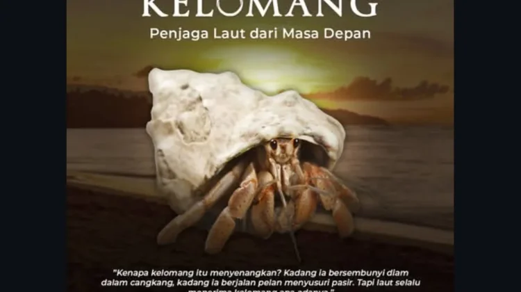 Kelomang, Penjaga Kecil Laut yang Peka Terhadap Pencemaran