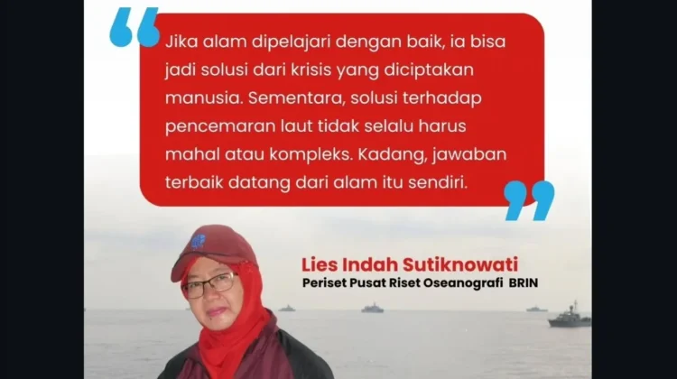 BRIN: Bakteri Laut Pemakan Minyak, Penyelamat Ekosistem dari Tumpahan