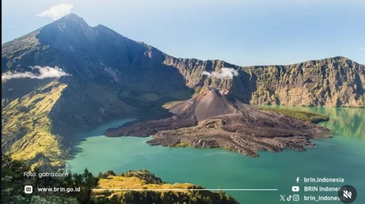 Jamur Morel Rinjani Bisa Dimakan, BRIN Dorong Konservasi untuk Pangan Masa Depan