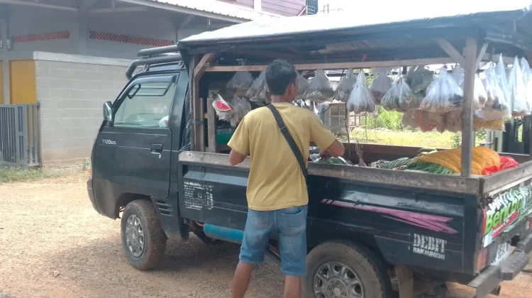 Harga Sawi Tembus Rp10 Ribu per Kilogram di Way Kanan