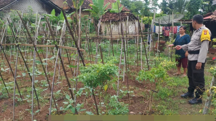 Bhabinkamtibmas di Baradatu Dampingi Warga Kelola Pekarangan Pangan