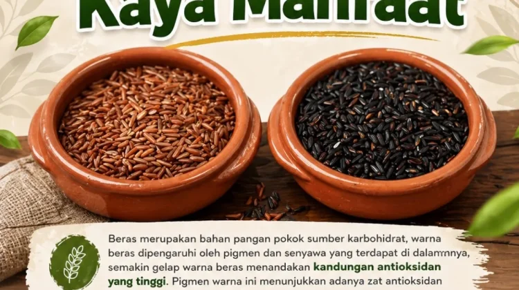 Yuk, Kenali Beras Berpigmen: Si Kaya Manfaat Selain Beras Putih