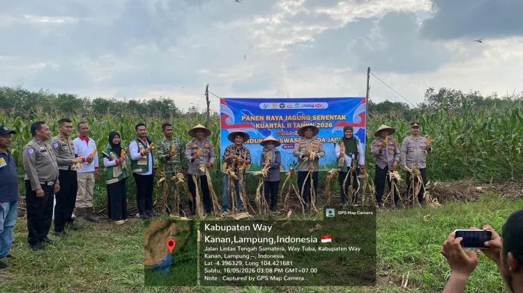 Polres Way Kanan Gelar Panen Raya Jagung Serentak