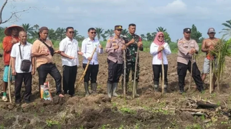 Pemkab Way Kanan Perkuat Ketahanan Pangan