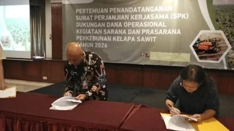 Way Kanan Perkuat Sinergitas Kembangkan Perkebunan Sawit
