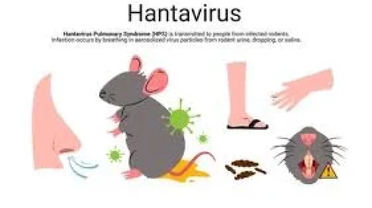 Dinkes Way Kanan Imbau Warga Cegah Penularan Hantavirus