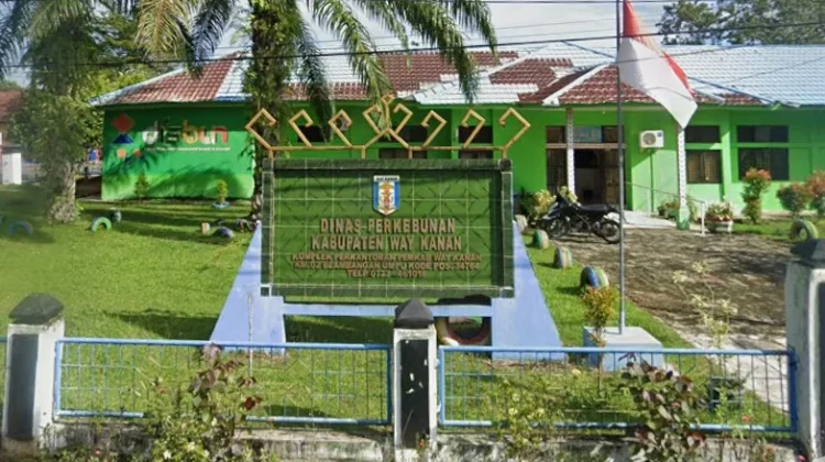 Disbun Way Kanan Fokus Tingkatkan Produksi Komoditas Perkebunan