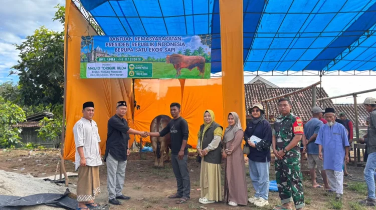 TPHP Way Kanan Pantau Pemotongan Sapi Bantuan Presiden