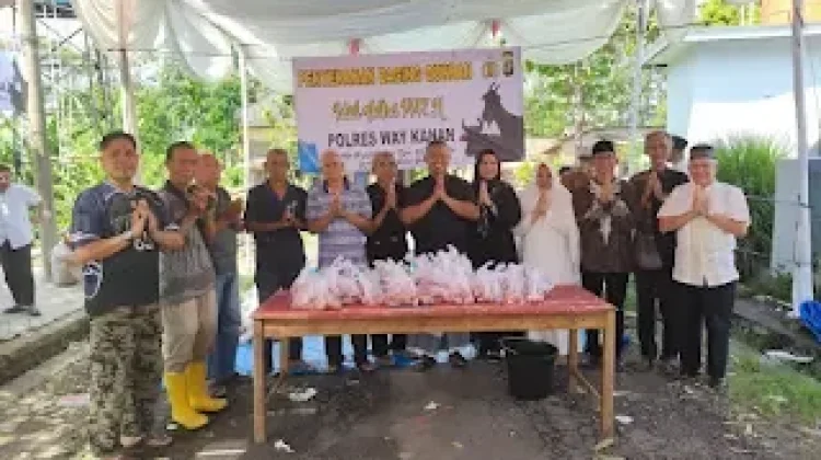 Polres Way Kanan Kurban 12 Ekor Kambing dan 5 Ekor Sapi