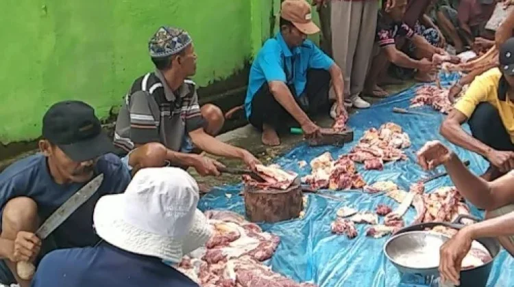 Jumlah Hewan Kurban di Kampung Ramsai Meningkat Dibanding Tahun Lalu