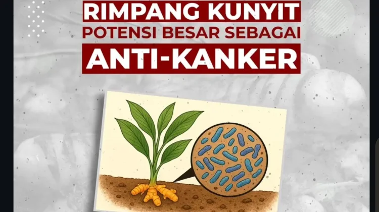 Bakteri Tanah Kunyit Karanganyar Hasilkan Senyawa Anti-Kanker Lebih Kuat dari Dox