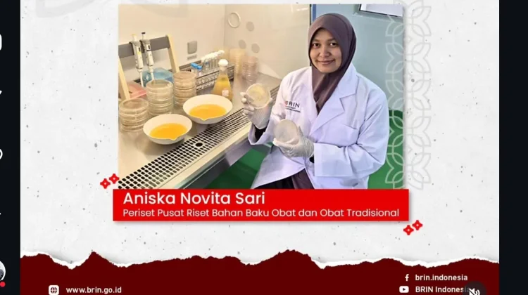 BRIN Ungkap Kekayaan Mikroba Tanah Kunyit untuk Pengobatan Kanker Payudara