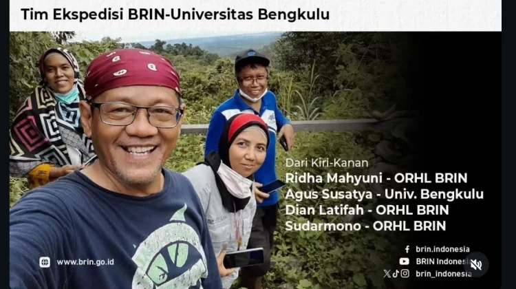 Misteri 40 Tahun Terjawab, BRIN Identifikasi Rafflesia Baru di Hutan Sepaku