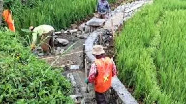 Dinas PUPR Way Kanan Jaga Produktivitas Pangan lewat Irigasi