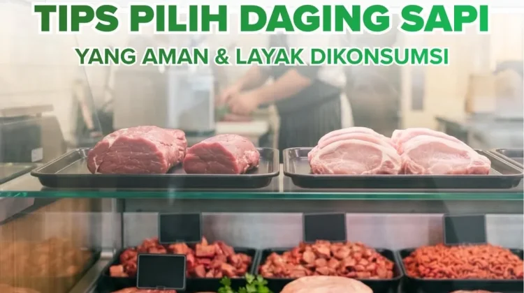 Tips Memilih Daging Sapi yang Aman dan Layak Konsumsi