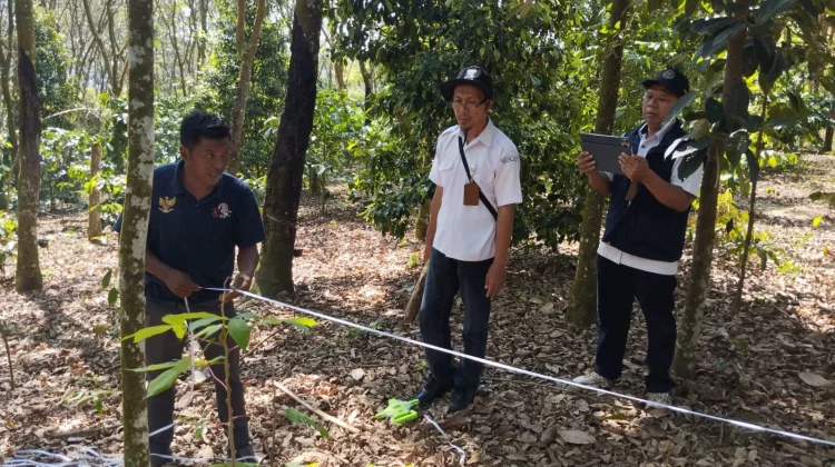 Bioflok Tematik Diharapkan Gerakkan Ekonomi KDMP Tanjung Harapan