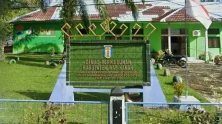 Disbun Way Kanan Fokus Penguatan Sektor Perkebunan