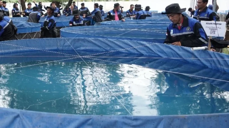 Kampung Tanjung Harapan Usulkan Program Budidaya Ikan melalui Bioflok