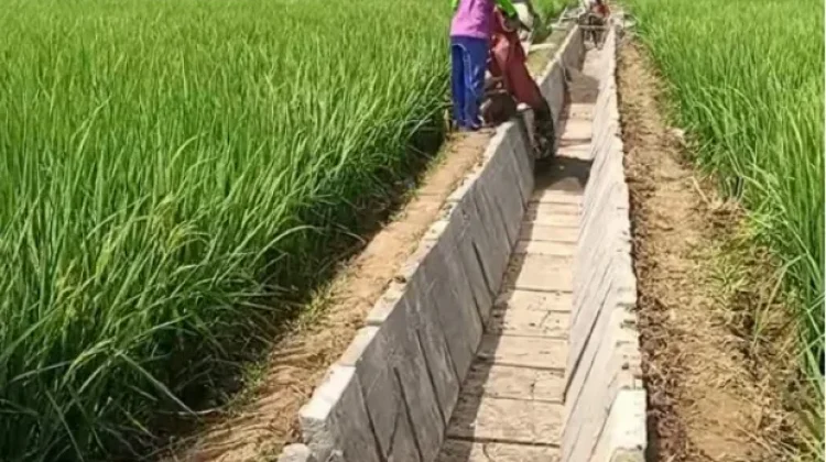 PUPR Way Kanan Perkuat Pasokan Air Irigasi Pertanian