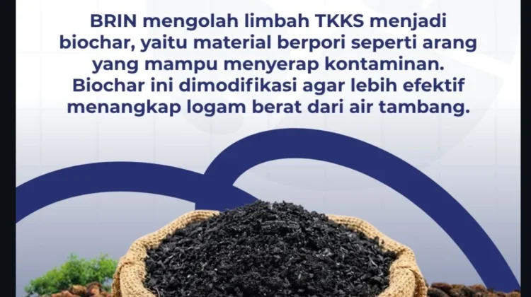 Biochar Sawit BRIN Serap 80 Persen Logam Mangan di Air Tambang