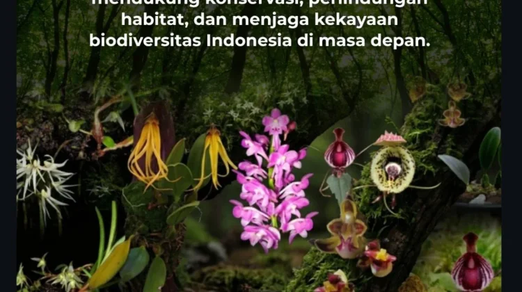BRIN Temukan 10 Spesies Anggrek Baru dari Sumatra hingga Nusa Tenggara