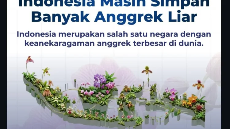 BRIN dan Kolaborator: Dokumentasi 10 Anggrek Kunci Perlindungan Habitat