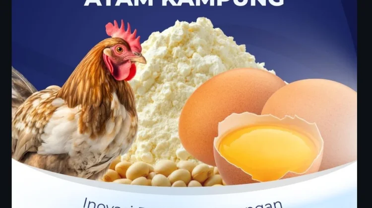 Tepung Kuning Telur Kampung Ciptaan BRIN lewat Spray Drying