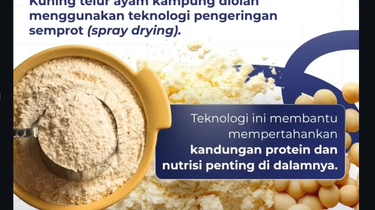 Tepung Telur Kampung BRIN Buka Peluang Industri dan Nilai Tambah