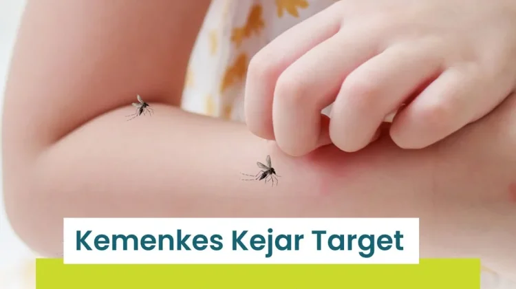 Kemenkes  Kejar Target Nol Kematian akibat Dengue di Tahun 2030