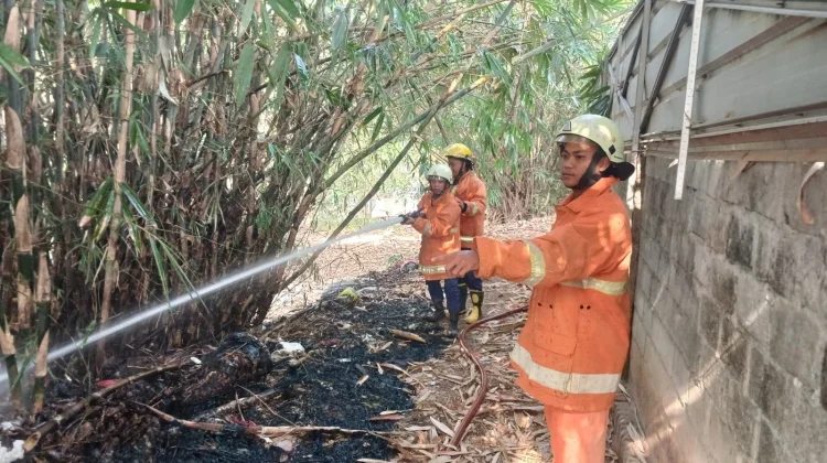 Puntung Rokok Diduga Picu Kebakaran Lahan Metro