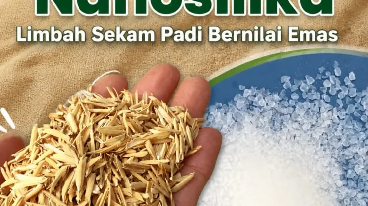 Nanosilika Sekam Padi Bernilai Emas