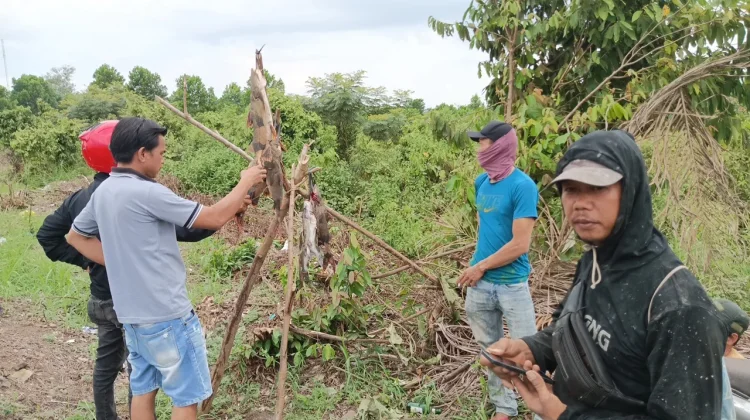Hasil Tangkapan Ikan Sungai Meningkat, Warga Manfaatkan Musim dan Debit Air