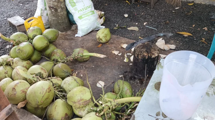 Kelapa Muda Tetap Diminati di tengah Cuaca Panas