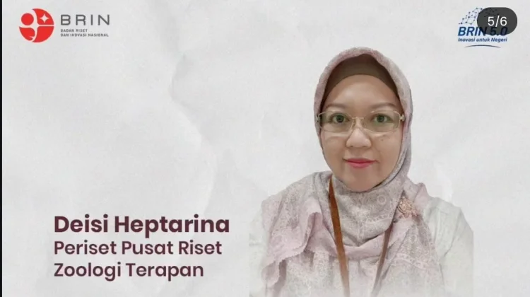 BRIN: Biji Kecipir Tingkatkan Kecernaan Protein Ikan hingga 70 Persen