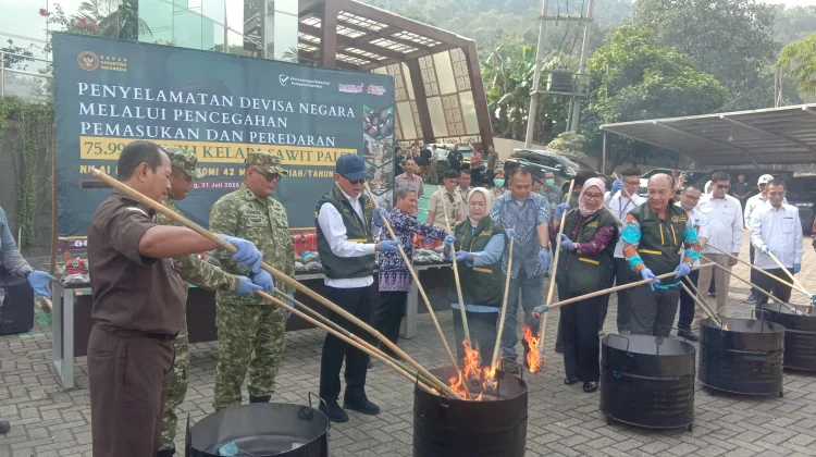Balai Karantina Lampung Musnahkan Puluhan Ribu Benih Sawit Palsu
