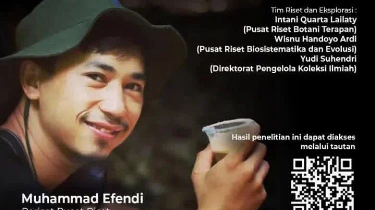 BRIN: Penemuan Begonia hattae di Hutan Karst Sumatra Barat