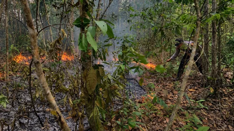 Lahan Terbakar di Jalinsum Way Kanan Berhasil Dipadamkan